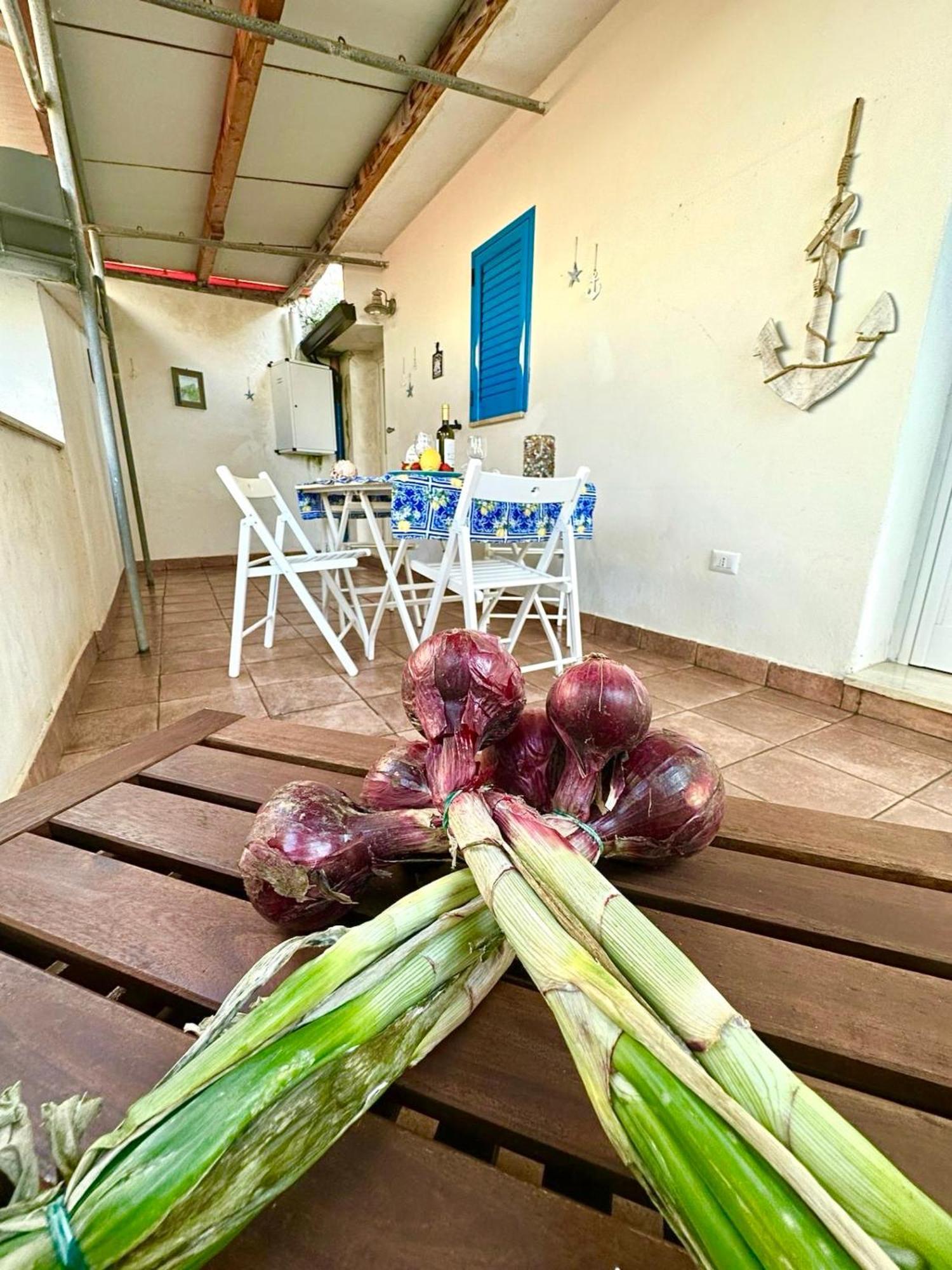 Dilettaanna Apartment With Private Garden Tropea Exterior photo